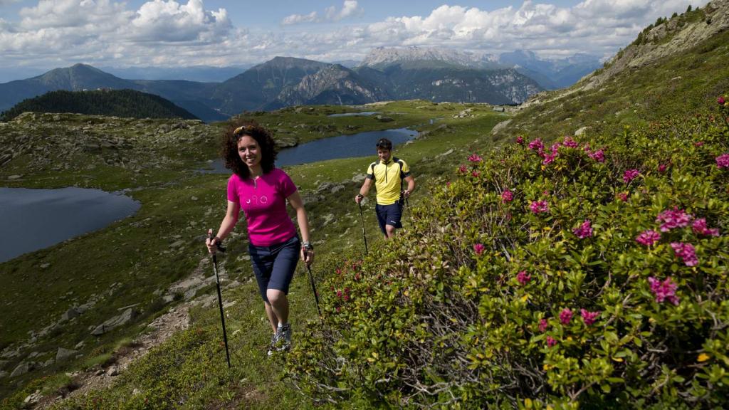 Cavalese Forcella del Macaco Trekking in Val di Fiemme Trentino