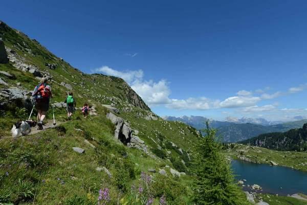 Trekking and Snow Walking